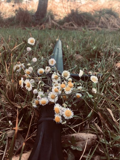 Sword and flower aesthetic Greatsword Aesthetic, Sellsword Aesthetic, Dnd Soldier Aesthetic, Zelda Core Aesthetic, Squire Aesthetic, Keyleth Aesthetic, Swords Aesthetic, Knights Aesthetic, Paladin Aesthetic