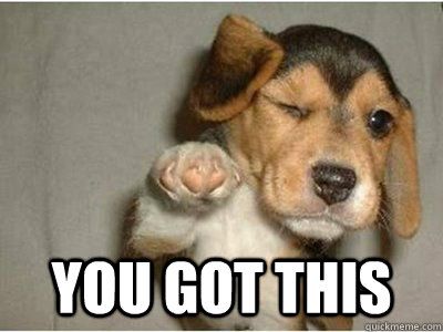 20 Best Memes To Let You Know That 'You Got This' | SayingImages.com Get Well Soon Meme, Congratulations Meme, Birthday Meme Dog, Kind Meme, Love Pictures For Him, Thank You Memes, Funny Memes For Him, Love You Funny, Love You Meme