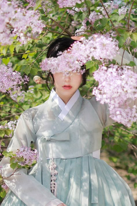 Hanbok Painting, Seoul Photoshoot, Hanbok Aesthetic, Hanbok Traditional, Traditional Asian Dress, Korean Traditional Clothing, Korean Traditional Dress, Korean Hanbok, Korean Fashion Dress