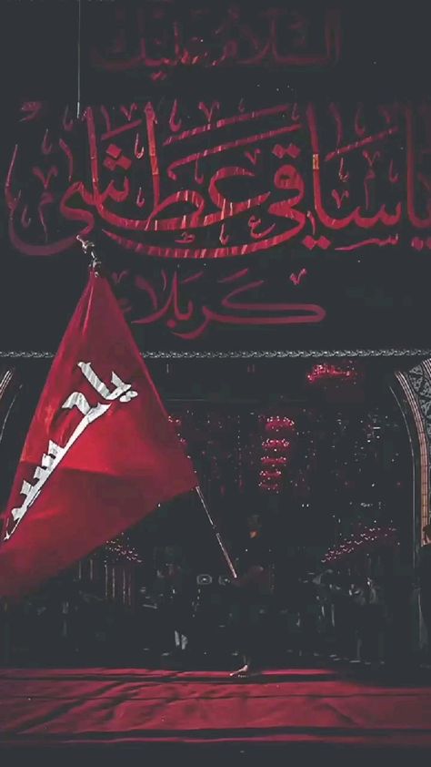 Moharram Dp, Shia Status, Karbala Pics, Madina Sharif Beautiful Pic, Imam Hussain Karbala, Black Ladybug, Karbala Video, Hussain Karbala, Shia Muslim