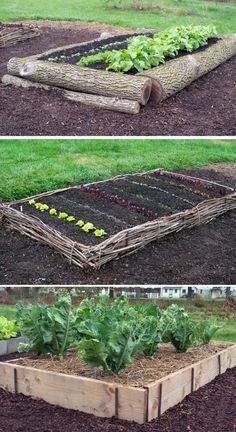 Awesome Raised Garden Bed Ideas & Tutorials - Family Food Garden Plantarea Legumelor, Garden Bed Ideas, Raised Garden Bed Plans, Elevated Gardening, Vegetable Garden Raised Beds, Building A Raised Garden, Diy Raised Garden, Plants Growing, Raised Garden Beds Diy