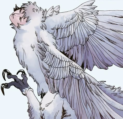 Bird People, Mythical Creatures Art, Monster Design, Fantasy Aesthetic, Creature Concept, Art Inspiration Drawing, Creature Design, Creature Art, Art Reference Photos