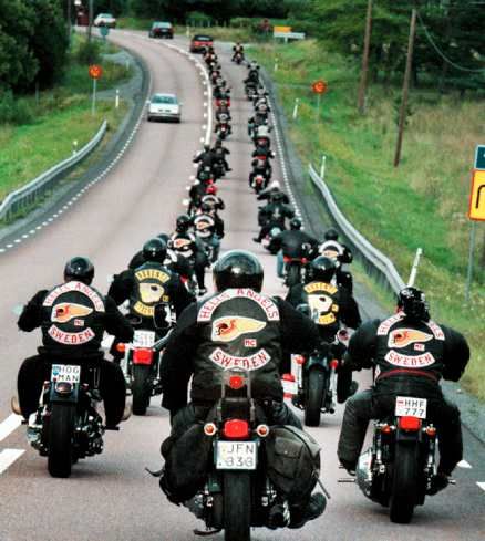 FEARED WORLDWIDE BIKER GANG ….THE NOTORIOUS HELL'S ANGELS | CRIME ... Hd Fatboy, Bike Gang, Мотоциклы Harley Davidson, Motorcycle Gang, Biker Clubs, Biker Lifestyle, Biker Gang, Biker Art, Harley Bikes