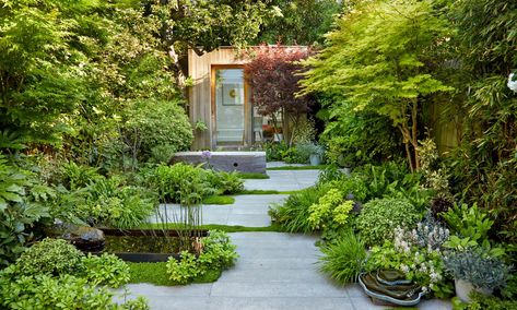 Terraced House Garden, Small Courtyard Gardens, London Garden, Starting A Garden, City Garden, Garden Tours, St Johns, Courtyard Garden, Back Garden