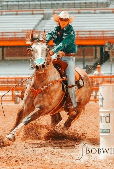 Rodeo, Barrel, Follow Me, Horses