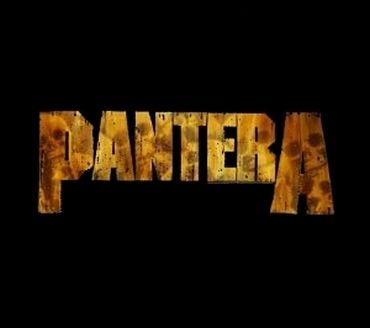 Pantera! Pantera Lyrics Quotes, Pantera Logo, Pantera Band, Band Logos, Twitter Header, Rock Band, Music Bands, Rock Bands, Heavy Metal