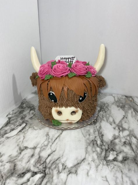 Smash Cakes, Baby Cake, Highland Cow, Cake Smash, Cow, Cake