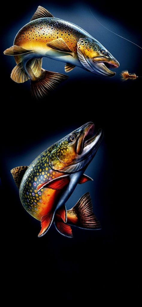 Fishing Phone Wallpaper, Trout Wallpaper, Fishing Wallpaper, Pike Fish, Trout Art, Fish Wallpaper, Oak Hill, Rainbow Trout, Samsung Wallpaper