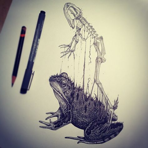 Animals Leave Their Skeletons Behind In Stunning Dark Drawings By Paul Jackson Simple Skull Drawing, Animal Skull Drawing, Paul Jackson, Drawing Things, Animal Skeletons, Skulls Drawing, Skull Illustration, Aquatic Life, Unique Drawings