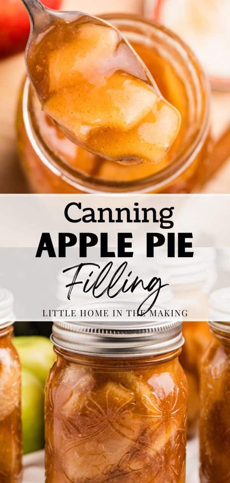 When it comes to canning recipes, it can be intimidating to get started when you're just getting started. This beginner-friendly recipe for Apple Pie Filling can be done in a water bath canner, and is a great way to get started with canning apples for food preservation. Recipe For Apple Pie Filling, Can Apple Pie Filling, Preserving Apples, Canning Apple Pie Filling, Recipe For Apple Pie, Apple Pie Filling Recipe, Raspberry Pie Filling, Water Bath Canning Recipes, Canning Apples