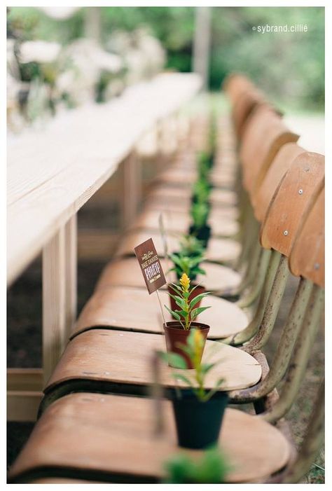 Unique Wedding Gift Ideas, Wedding Cake Greenery, Wedding Food Display, Wedding Planner Website, Homemade Wedding Gifts, Wedding Plants, Country Bridal Shower, Gifts For Guests, Diy Designs