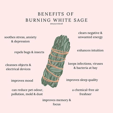 just a few reasons as to why burning white sage is an amazing spiritual practice! 🌿 i like to start my day by burning sage and set an intention for how i want the day to go ✨ i’ve seen a vast improvement in my mental & spiritual well-being since doing this 🥰 our white sage is premium quality with an affordable price tag! it also comes in small & large 💚 www.mysacredsoul.co.uk #whitesage #sage #sagesmudge #whitesagesmudgestick #whitesagebenefits #burningsage #spiritual #spiritualgrowth #s... What Does Sage Do, What Does Burning Sage Do, Cleansing With Sage, Sage Benefits Burning, How To Cleanse With Sage, Sage Brush Drawing, Sage Spiritual Meaning, Sage Burning Benefits, How To Burn Sage In Home