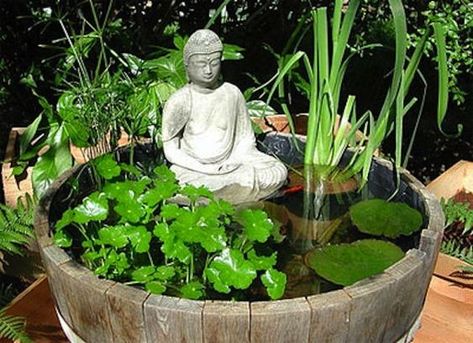 33 Water Garden Ideas For A Tranquil Outdoor Design Small Water Gardens, Miniature Zen Garden, Mini Pond, Fish Pond Gardens, Container Water Gardens, Small City Garden, Taman Air, Indoor Water Garden, Garden Pond Design