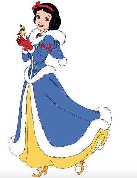 Disney Winter Characters, Disney Christmas Princess, Outfits For Snow, Christmas Disney Princess, Snow White With Long Hair, Diy Snow White Costume, Wahoo Board, Adult Princess Costume, Snow White Halloween