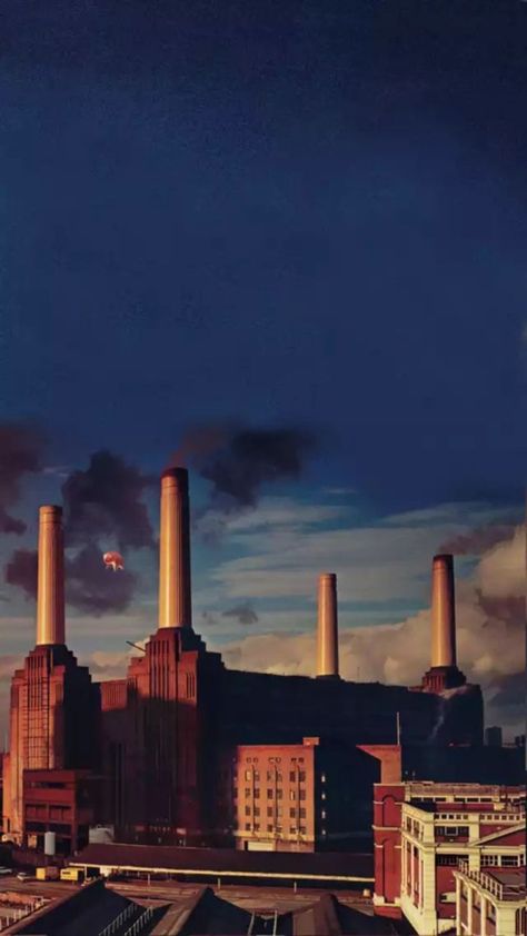 Pink Floyd Pig, Pink Floyd Cover, Rock Album Cover, Pink Floyd Album Covers, Pink Floyd Wallpaper, Famous Album Covers, Storm Thorgerson, Greatest Album Covers, Pink Floyd Albums