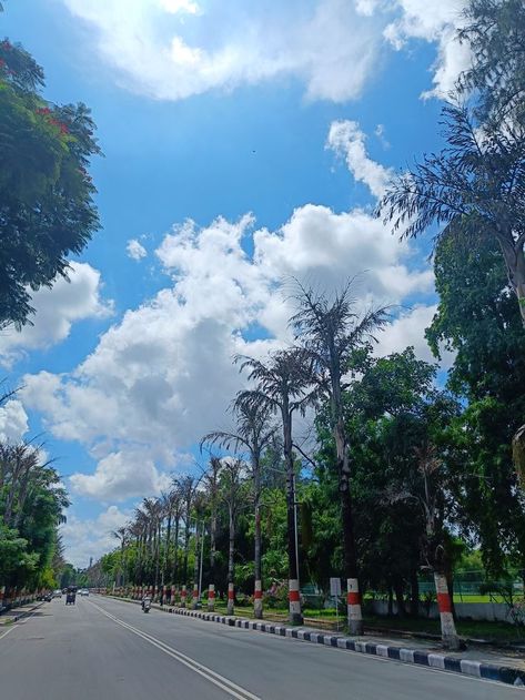 Clouds, road, trees, nature Aligarh Muslim University, Aesthetic Photography Nature, Beautiful Mind Quotes, Quick Jokes, Bts Pictures, Aesthetic Photography, University, Photography, Nature