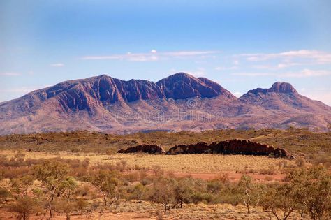 Australia Wildlife, Flinders Ranges, Inspiration For Painting, Flyer Design Layout, Australian Landscape, Australian Bush, Australian Flora, Mountain Ranges, South Australia