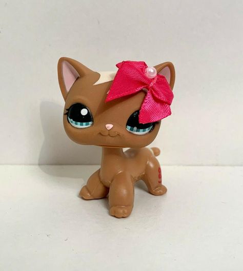 lps littlest pet shop RARE authentic brown shorthair cat #1170 Lps Shorthair Cat, Lps Shorthair, Rare Lps, Lps Cats, Lps Littlest Pet Shop, Shorthair Cat, Almost Perfect, Littlest Pet Shop, My Account