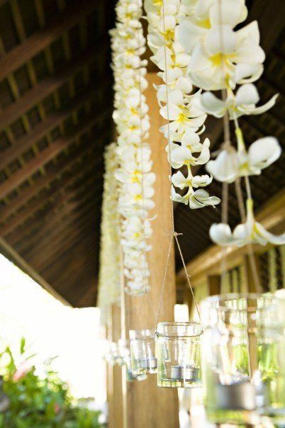 Frangipani Wedding, Paradise Wedding, Plumeria Flowers, Island Weddings, Tropical Wedding, Wedding Deco, Simple Weddings, Wedding Themes, Flower Decorations