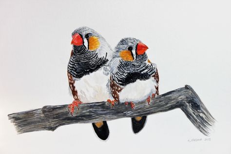 Zebra finch birds watercolor (inspired on a picture on the internet) Zebra Finch Drawing, Zebra Finch Tattoo, Finch Painting, Birds Watercolor, Zebra Finch, Finches Bird, Bee Painting, Bird Sketch, Finches