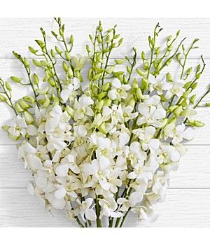 Flower Decoration For Wedding, White Dendrobium Orchids, Dendrobium Orchid, Decoration For Wedding, Online Flower Shop, Orchid Bouquet, Dendrobium Orchids, Centerpieces Wedding, Line Flower