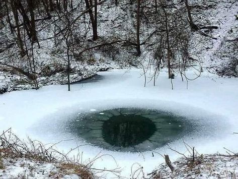 The eye of nature. Eclipse Solar, Mazzy Star, 다크 판타지, Frozen Lake, In The Woods, The Snow, Frozen, Trees, Forest