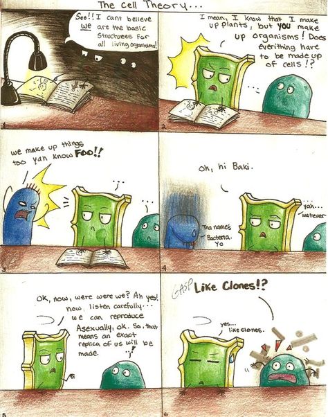 Cell Organelles Comic Strip, Cell Theory Comic Strip, Cell Theory, Cell Parts, Cell Organelles, Cell Cycle, Cell Division, Cell Membrane, Comic Collection