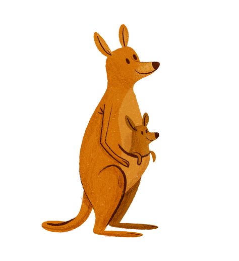 Illustrator Saturday -Christopher Jacques | Writing and Illustrating Kangaroo Drawing, Kangaroo Illustration, Kangaroo Art, Drawing Retro, School Of Arts, Kids Gymnastics, Baby Animal Drawings, Animal Flashcards, Baby Illustration