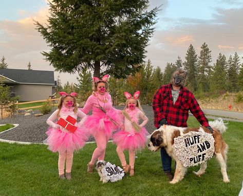 Wolf And Pig Costume, Big Bad Wolf And Three Pigs Costume, Three Little Pigs Halloween Costumes, 3 Little Pigs Costume, Three Little Pigs Costume, Wolf Costumes, Big Bad Wolf Costume, Pig Halloween Costume, Three Little Pig