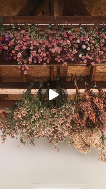 Ali & Scott Yahnke on Instagram: "✨ Drying on the rise ✨  👉 Comment “DIY” for a link to our tutorial! 👈  A bit about our drying racks: I love working with dried botanicals as an art medium, but never had a designated place to dry them. I’d end up with flowers and botanicals hanging from every vertical surface around our homestead and it was… a mess 🫣😂  Last summer, we created this hanging drying rack system as a way to take advantage of vertical space in our garage and to give me a designated place for drying an abundance of botanicals. I love it! It’s been a game changer and we did it for less than $10 per rack by using salvaged lumber.   I hope this tutorial will save you some of the trial and error we’ve gone through over the years and help you create something that fits your needs! Flower Drying Rack, Hanging Drying Rack, Dried Botanicals, Drying Room, Flower Rack, Drying Racks, Flower Installation, Art Medium, Trial And Error