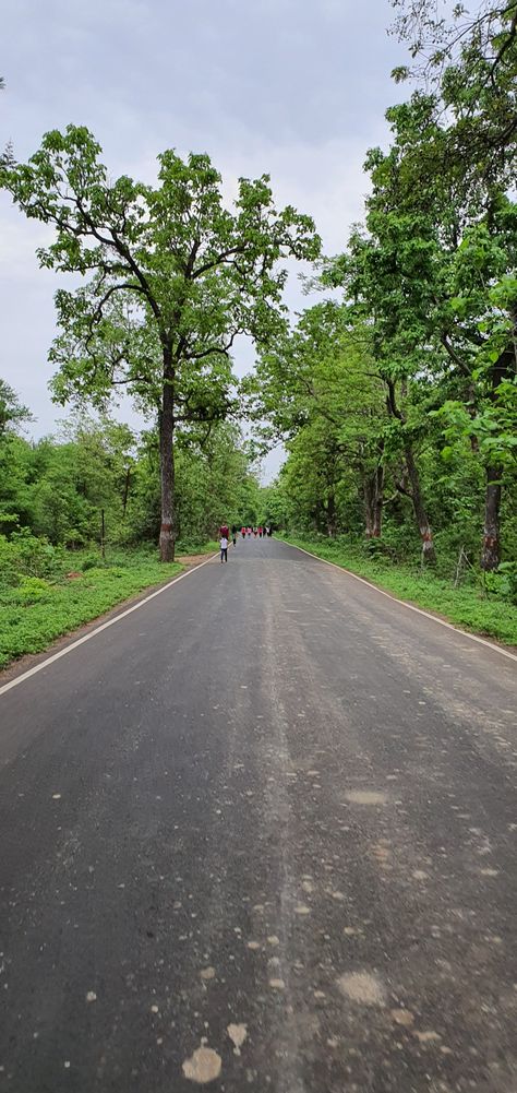 Morning Road Snap, Morning Walk Snap, Morning Walks Aesthetic, Morning Snap, Greenery Wallpaper, Dad Drawing, Latest Blouse Designs Pattern, Village Photography, Nature Walk