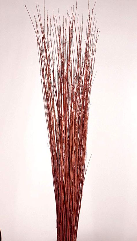 Amazon.com: Green Floral Crafts 4-5 ft Tall, Burnt Red-Orange Asian Willow, Bunch of 90-100 Tall Sticks &Wispy Grass (Vase Not Included): Home & Kitchen Floor Vase Fillers, Willow Sticks, Floral Crafts, Staging Furniture, Fluted Vase, Curly Willow, Birch Branches, Burnt Red, Orange House