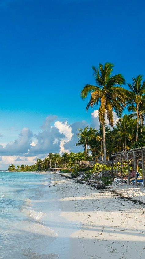 Cuba Beach Aesthetic, Cuba Aesthetic Beach, Havana Cuba Aesthetic, Cuba Wallpaper, Cuba Aesthetic, Cuba Beach, Havana Beach, Cuba Island, Cuba Holiday