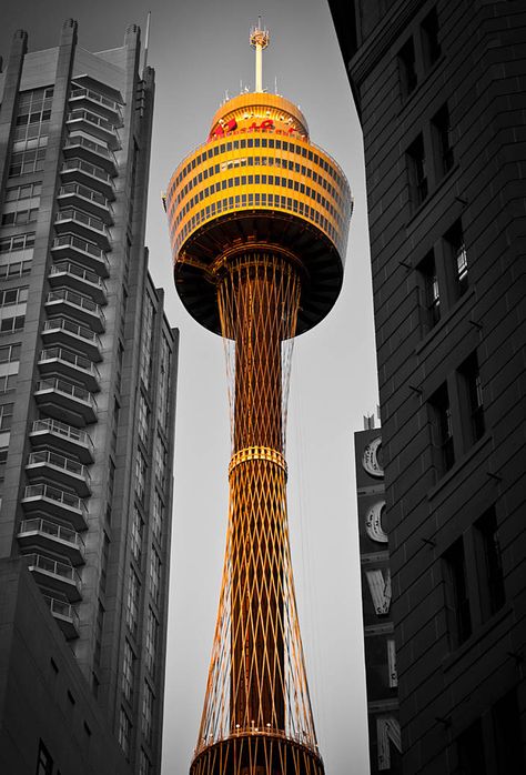 Sydney Tower Eye, Sydney Tower, Inspiration Photo, Sydney Harbour Bridge, Big City, Space Needle, Sydney Opera House, Sydney, Vision Board