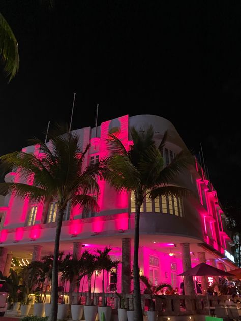 Miami Core Aesthetic, 90s Tropical Aesthetic, Miami 2000s Aesthetic, Downtown Miami Aesthetic, South Beach Aesthetic, Swan Miami, 80s Miami Aesthetic, Cuban Aesthetic, Miami Beach Aesthetic