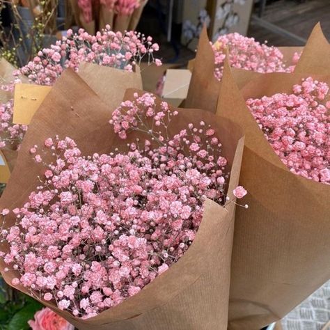 Babys Breath Aesthetic, Pink Babies Breath, Flower Aesthetics, Fav Flower, Boquette Flowers, Birthday Inspo, Flower Shower, Nothing But Flowers, Pretty Pics