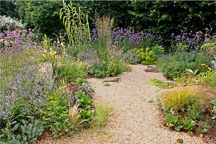 Gravel gardens - low maintenance garden tips. Mediterranean style drought tolerant plantings. #gravelgarden #gardeningtips plant list for gravel gardens Use landscape fabric to avoid weeds and self-planting. https://www.rhs.org.uk/Advice/profile?pid=500 Sounds great for #Californiagardens Gravel Gardens, Prairie Planting, Seaside Garden, Drought Resistant Plants, Mediterranean Plants, Gravel Path, Dry Garden, Gravel Garden, Pea Gravel