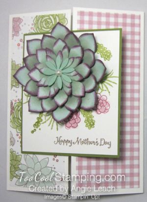 Succulent Cards Diy, Stampin Up Oh So Succulent, Succulent Card, Succulent Cards, Paper Succulents, Screen Cards, Floral Foliage, Mother Card, Cards Flowers