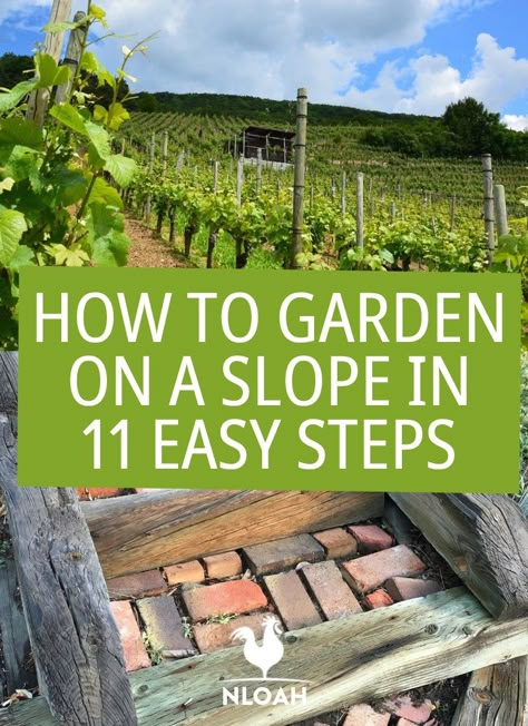 gardening on a slope pin Garden On A Slope, Gardening On A Slope, Terraced Vegetable Garden, Slope Garden, Terraced Garden, Landscaping A Slope, Sloped Backyard Landscaping, Garden Uk, Survival Garden