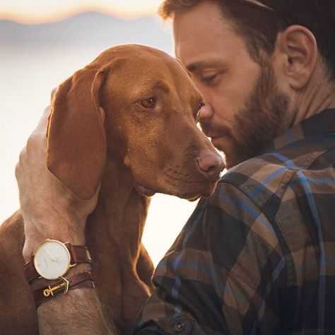 Dog Owner Photography, Dog Owner Photoshoot, Man With Dog, Dog Photoshoot Pet Photography, Dog Portrait Photography, Dog Photography Poses, Vizsla Dog, Female Hunter, Paul Hewitt