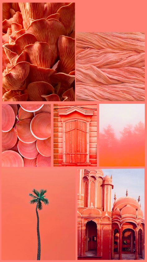 Pink Orange Aesthetic, Terracotta Aesthetic, Coral Aesthetic, Apricot Colour, Light Spring Color Palette, Apricot Crush, Coral Castle, Iphone Wallpaper Classy, Peach Aesthetic