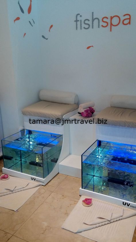 Fish Spa Design, Le Blanc Spa Resort Cancun, Fish Pedicure, Fish Spa, Spa Room Ideas, Beauty Uniforms, Nail Salon Interior, Modern Spa, Esthetics Room