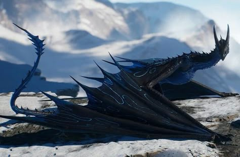 Blue Dragon Aesthetic, Black Wyvern, Black And Blue Dragon, Raven Dragon, Blue Dragon Art, Black Dragon Art, Dark Blue Dragon, Blue Wyvern, Pretty Dragon