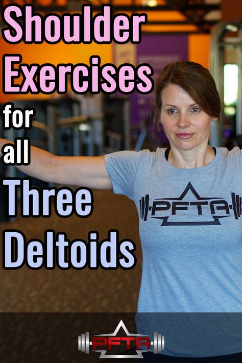 Deltoid Muscle Anatomy, Deltoid Stretches For Pain, Deltoid Exercises For Women, Anterior Deltoid Exercises, Posterior Deltoid Exercises, Deltoid Workout Women, Rear Deltoid Exercises, Shoulder Exercises For Women, Deltoid Exercises