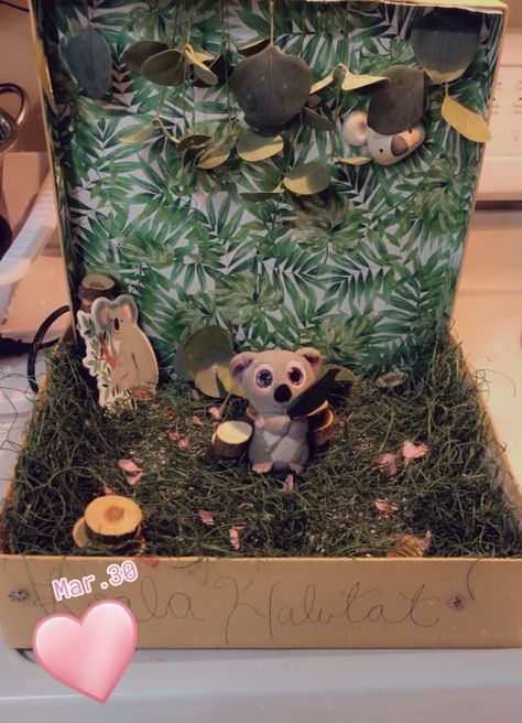 School Project Koala Habitat Koala School Project, Koala Habitat Diorama, Koala Diorama Project, Koala Habitat, Habitat Project, Reading Week, Habitats Projects, Environment Projects, School Things