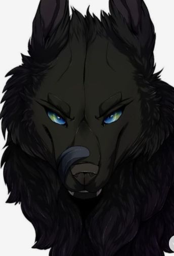 well theres nothing lol Cool Wolf Drawings, Anime Wolf Drawing, Dog Design Art, Cute Wolf Drawings, Wolf Sketch, Wolf Artwork, Werewolf Art, Wolf Drawing, Canine Art