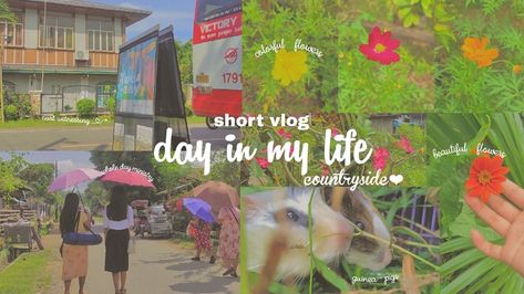 sample video | a day in my life ⛅ | aesthetic countryside - Ko-fi ❤️ Where creators get support from fans through donations, memberships, shop sales and more! The original 'Buy Me a Coffee' Page. Productive Day Aesthetic, Day In My Life Aesthetic, My Life Aesthetic, Jw Friends, Aesthetic Countryside, Cart Witnessing, Aesthetic Vlog, Vlog Video, A Day In My Life