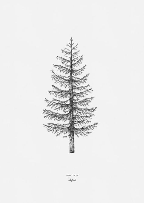 Winter Tree Drawing, Tree Tattoo Drawings, Pine Tattoo, Tree Drawing Simple, Pine Tree Drawing, Drawing Tree, Christmas Tree Drawing, Pine Tree Tattoo, Pencil Trees