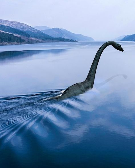 Lock Ness Monster, Eternal Flame