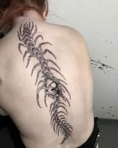 Tattoo Ideas Centipede, Twisted Tattoos, Two Sided Tattoo, Centepide Tattoo Arm, Human Centipede Tattoo, Centipede Neck Tattoo, Centipede Spine Tattoo, Centipede Back Tattoo, Centapeid Tattoo Design